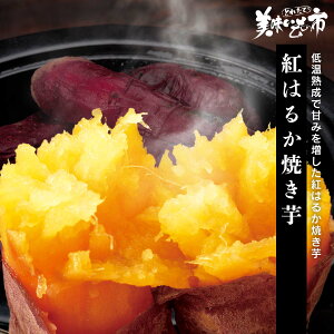 g͂邩Ău˂ԂvłȂ݁uƂꂽāI̎svo