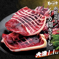 函館造り イカ開き干し 合計1.1kg イカ飯 いか焼き 函館 シーフードカレー パスタ 醤油バター炒め 珍味 …