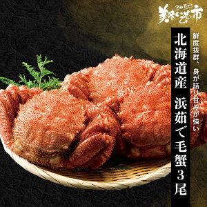 kCY l䥂ŖъI3 1.4kg  b VE}C JjX  hg 痿 Ib kCO p Mtg  ъI уKj Jj ̎s т