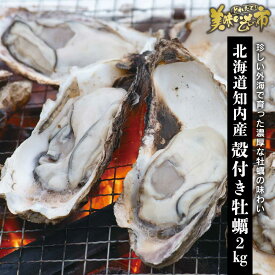 北海道知内産 殻付き牡蠣2kg（加熱用）「ねこぶだし」でおなじみ「とれたて！美味いもの市」から登場