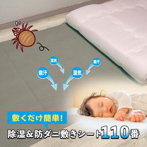 ~ȒP!h_j~V[g110ԁyTz erVbsO ܂邲ƓˎsIo