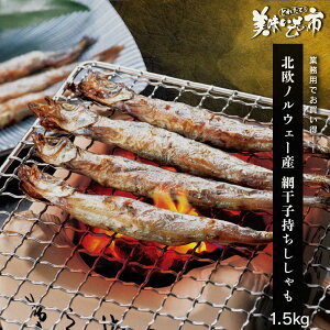 y10/10聚I2l1lő100%|CgobNvGg[zkmEF[YԊq 1.5kgu˂ԂvłȂ݁uƂꂽāI̎svo