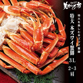 特大 3Lサイズ 本ズワイ蟹脚 総重量1.0kg 2～3肩「ねこぶだし」でおなじみ「とれたて！美味いもの市」から登場