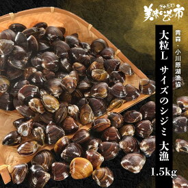 青森 小川原湖漁協 大粒Lサイズ シジミ 大漁 1.5kg 小分け 150gx10袋 使いやすい しじみ 殻付き 冷凍 大粒「ねこぶだし」でおなじみ「とれたて！美味いもの市」から登場