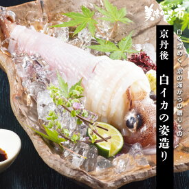 京丹後 白イカのお造り「ねこぶだし」でおなじみ「とれたて！美味いもの市」から登場