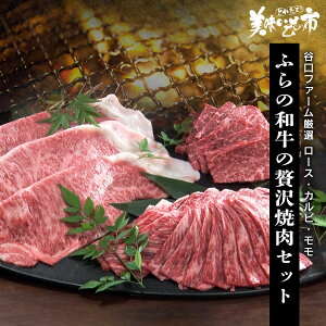 Jt@[I@ӂ̘aґēZbgiWEBju˂ԂvłȂ݁uƂꂽāI̎svo