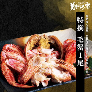  ъI1u˂ԂvłȂ݁uƂꂽāI̎svo