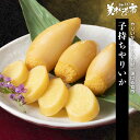 子持ちやりいか「ねこぶだし」でおなじみ「とれたて！美味いもの市」から登場