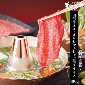 R`A4EA5ԂԗpXCX300gu˂ԂvłȂ݁uƂꂽāI̎svo