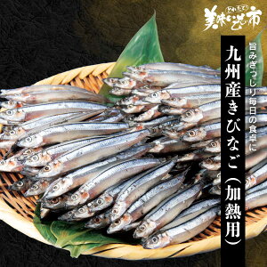 BYтȂiMpju˂ԂvłȂ݁uƂꂽāI̎svo