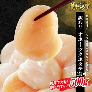 Iz[cNCY kCz^e hgp500gu˂ԂvłȂ݁uƂꂽāI̎svo