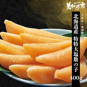 kCY 剖̎q 400gu˂ԂvłȂ݁uƂꂽāI̎svo