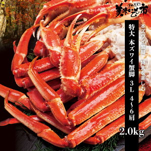  {YCIr 3L 4`6 2.0kgu˂ԂvłȂ݁uƂꂽāI̎svo