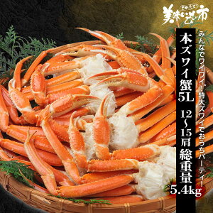 5LTCY {YCIr d5.4kg 12`15iWEBj˂ԂvłȂ݁uƂꂽāI̎svo