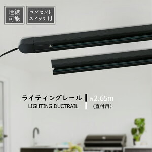 ダクトレール 2.65m 連結タイプ 延長タイプ コンセント スイッチ付き オリジナル ライティングレール スポットライト 配線ダクト 天井照明 ライティングバー 簡易取付 工事不要 直付け 間接