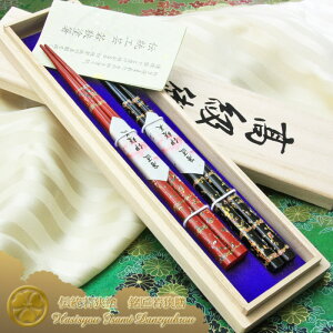 ዷVL߁@ዷh w˔ vwMtgx