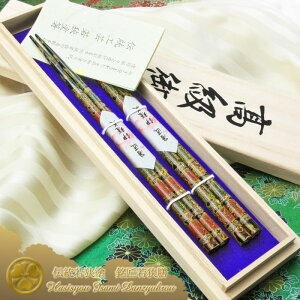 ዷVRȗ΍ʁ@`ዷh w˔ vwMtgx