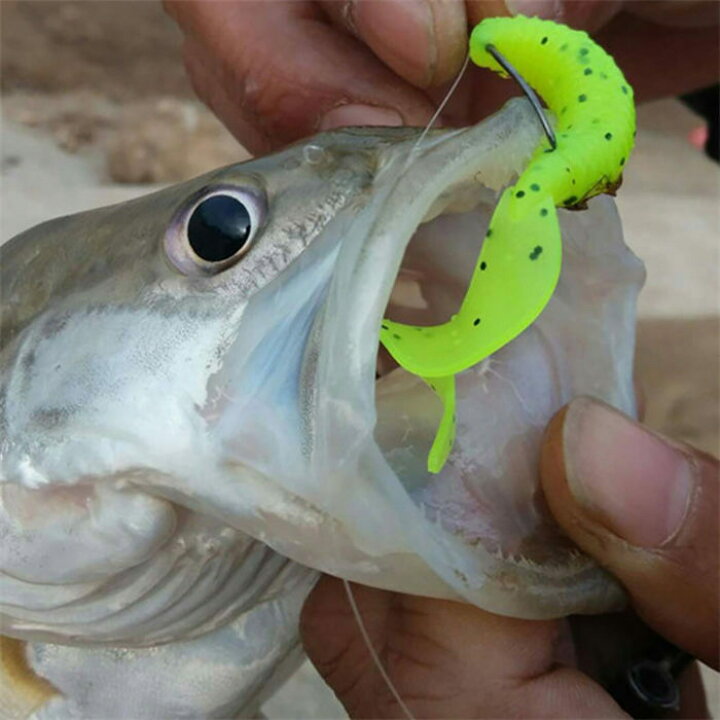楽天市場 釣り ワームセット ワーム ソフトルアー セット ロックフィッシュ バス釣り クローワーム 根魚 ワームセット ザリガニ 疑似餌 イーサン恵