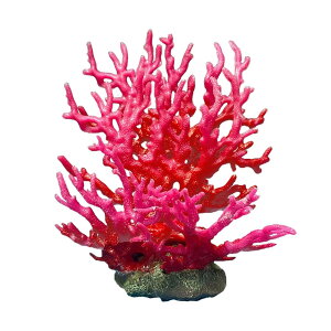 TS X  lHX ANAE IuWF  ̉B