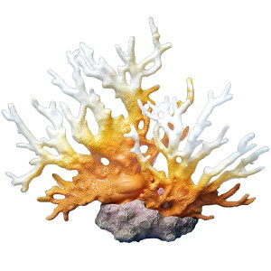 lHTSōANAEibTSʃIuWFŔCAEgB̉BƂƂĐEقɁB