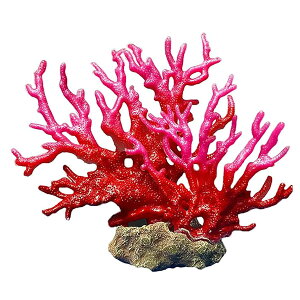 TS X  lHX ANAE IuWF  ̉B