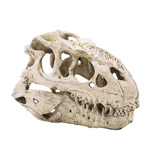  I[ig gPgvXW ̍̉ B CAEg Mы ӏ܋ t@^W[ ANAEANZT[ CeA u 