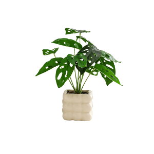 lHϗtA tFCNO[ ϗtA CeA ~j~ tFCNO[  ȒPb炸 sv 픫