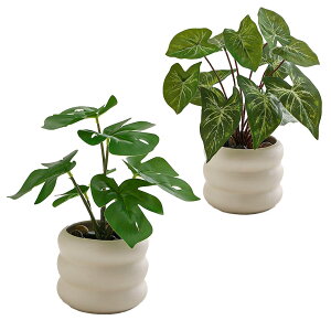 lHϗtA tFCNO[ ϗtA CeA ~j~ tFCNO[  ȒPb炸 sv 픫