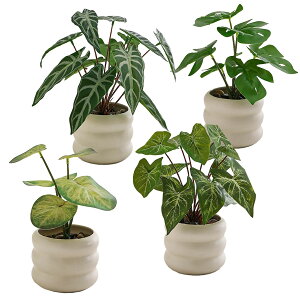 lHϗtA tFCNO[ ϗtA CeA ~j~ tFCNO[  ȒPb炸 sv 픫