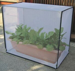 ۂ蒎悯Jo[  75cm×s40cm×60cm 悯  hlbg Q ΍ hJo[  ƒ؉ | lbg Jo[ Lbg ؍ x_   