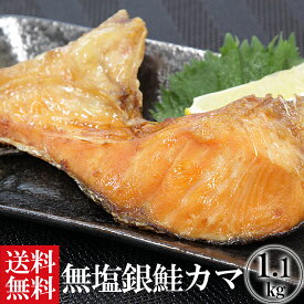 肉厚の食べごたえ　無塩仕立ての銀鮭カマ1.1kg入れ　送料無料