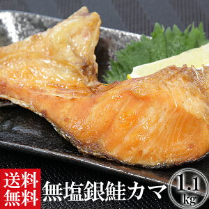 dĂ̋J}1.1kg@ Ⓚ  ` 傫o [ ق VPt[N