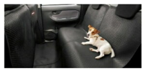 DAIHATSUy_Cnczpi CASTyLXgzybgV[gJo[ J[pi ԗpi i p[c ANZT IvV yzւ̂݁z