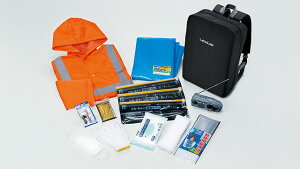 LEXUSyNTXzISyACGXzԍږhЃZbgASE30 AVE30 AVE35 GSE31  pi i p[c ANZT IvVyz TCYz