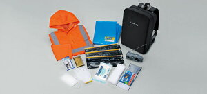 LEXUSyNTXzpi RXyA[GbNXzԍږhЃZbg J[pi ԗpi i p[c ANZT IvV yz TCYz