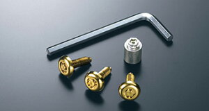 TOYOTA【トヨタ】CROWN ATHLETE【クラウンアスリート】210系後期ナンバープレート用ロックボルト(ゴールド)ARS210・GRS210後期 純正 用品 部品 パーツ アクセサリ オプション 08456-00310