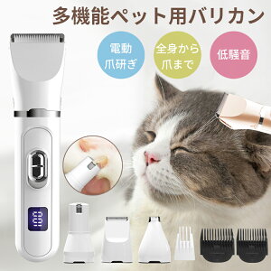 PUTDILyԌIN[|3,280~zybgoJ p oJ L 4in1 R[hX[d É y [d ybgg}[ ybgpoJ  oJ ybg   􂢉  