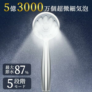 yԌIN[|1,980~IzV[wbh ~Xg Egt@Cou 5iK[h e ߐ  ь }CNimou V[  PA     