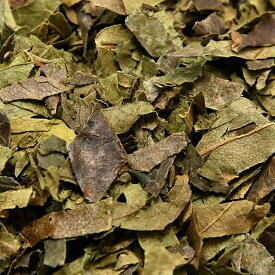 伊勢 丸中製茶 柿 100% 柿の葉茶 1kg（ 柿の葉 カキ かきのは 茶 お茶 健康茶 茶葉 ）