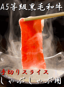 A5N@ōјa Ԃԗp@㋍Zbgi1kgjy؂azyz