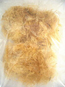 ƂĂ̌-ɐuY̓V20g[Od]