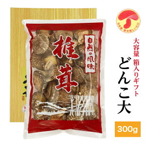 ő Y ǂ񂱑 300g  Mtg e(  Mtg  Ε TԂ BElY ő  _ ؍͔| )