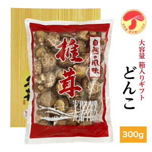 ő Y ǂ 300g  Mtg e(  Mtg  Ε TԂ BElY ő  _ ؍͔| )