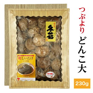 ő Y Ԃ ǂ񂱑 230g  Mtg(  Mtg Ε  j TԂ BElY ő  _ ؍͔| )
