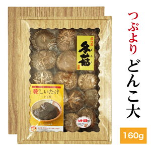 ő Y Ԃ ǂ񂱑 160g  Mtg(  Mtg Ε  j TԂ BElY ő  _ ؍͔| )