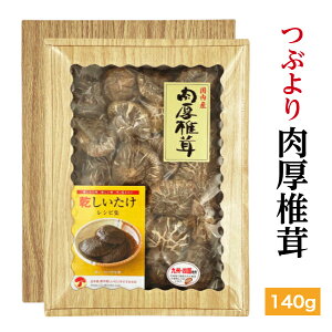 ő Y Ԃ ő 140g  Mtg(  Mtg Ε  j TԂ BElY ő  _ ؍͔| )