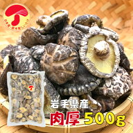 干し椎茸 岩手県産 肉厚 500g 原木栽培 無農薬( 国産 しいたけ 干しシイタケ 干ししいたけ )