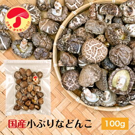 干し椎茸 国産 小ぶりなどんこ 100g 原木栽培 無農薬 チャック付き袋( 国産 どんこ こぶり 干しシイタケ 干ししいたけ 乾しいたけ 乾燥シイタケ 乾燥椎茸 )