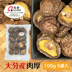 ő 啪Y  100g×5ܓ TCY ؍͔| _( Y 啪Y VC^P   VC^P ő G^fj )