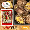 干し椎茸 大分産 肉厚 300g 中サイズ 大容量 原木栽培 無農薬( 国産 大分県産 干しシイタケ 干ししいたけ 乾しいたけ …